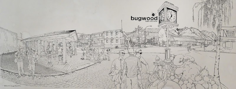 Bugwood Coffee | Cafe photo 3