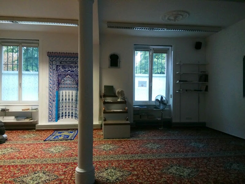 Mabin e.V. (Main Bildungs- & Integrationsforum) photo 6