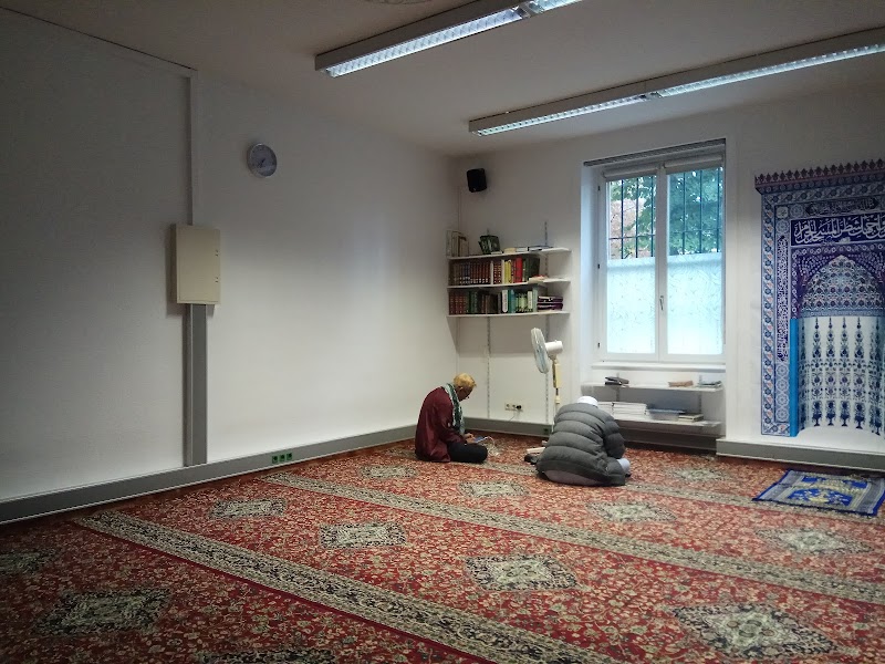 Mabin e.V. (Main Bildungs- & Integrationsforum) photo 3