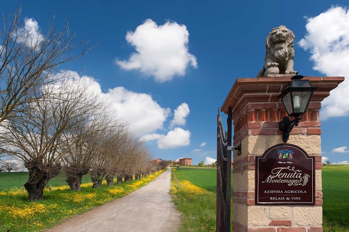 Tenuta Montemagno Relais & Wines
