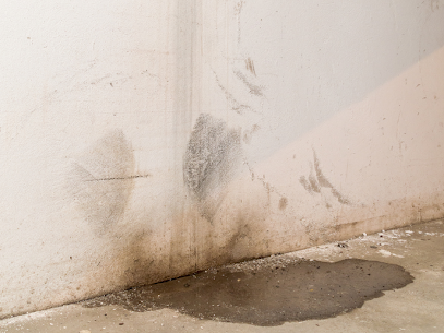 Blue Water Damage Services — photo