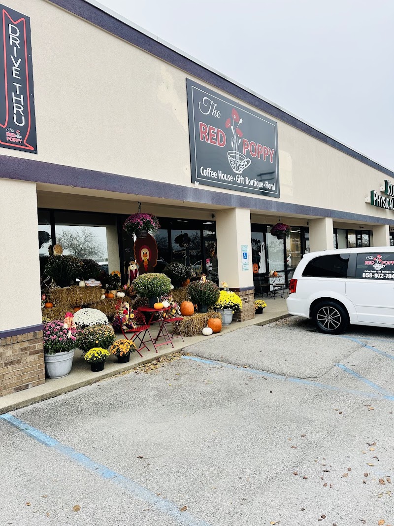 The Red Poppy photo 1