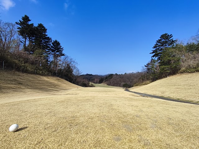Taiwa Golf Club - Photo 10