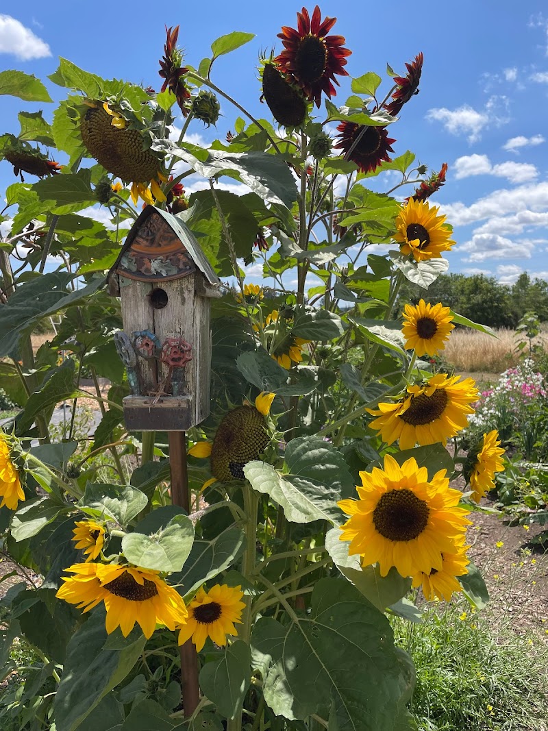 Luscher Farm City Park - Photo 2
