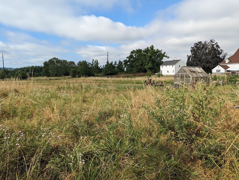 Luscher Farm City Park - Photo 5