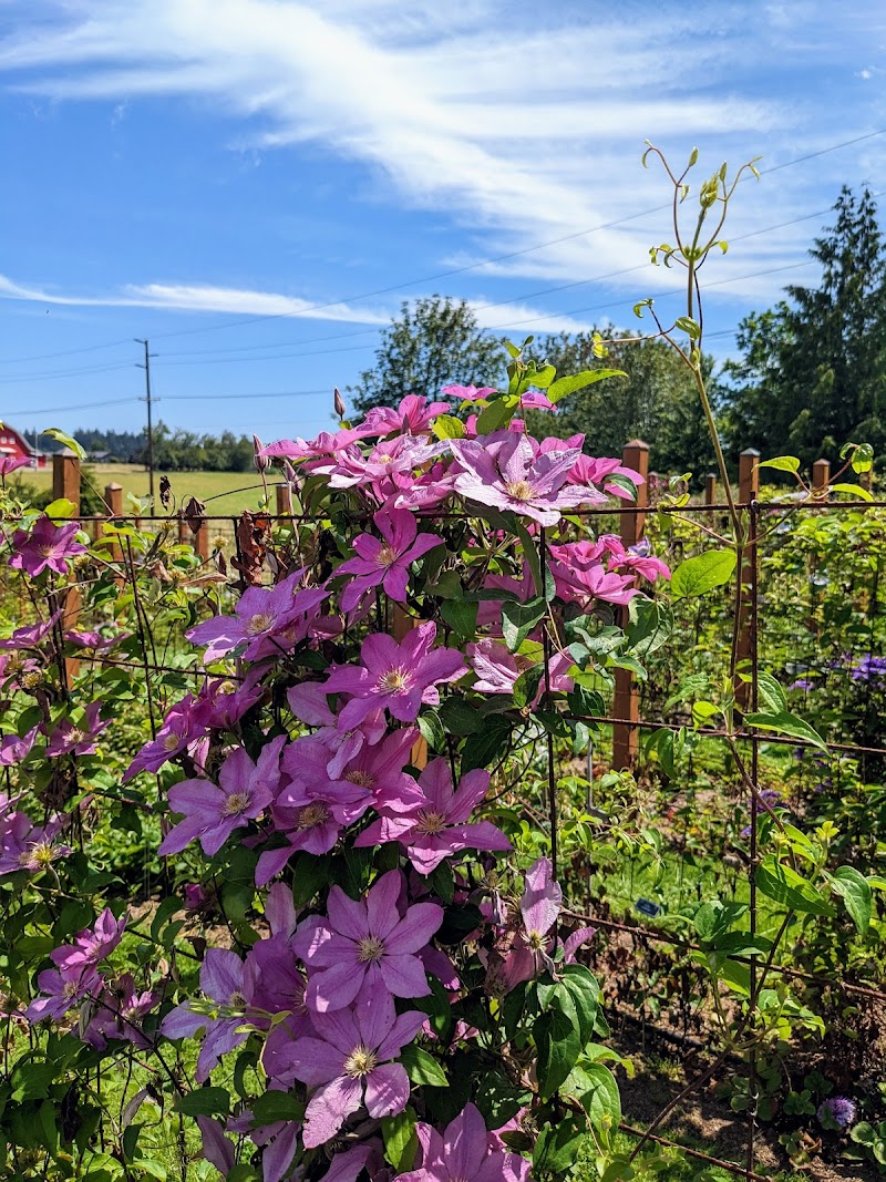 Luscher Farm City Park - Photo 1