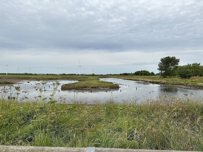 RSPB Tetney Marshes