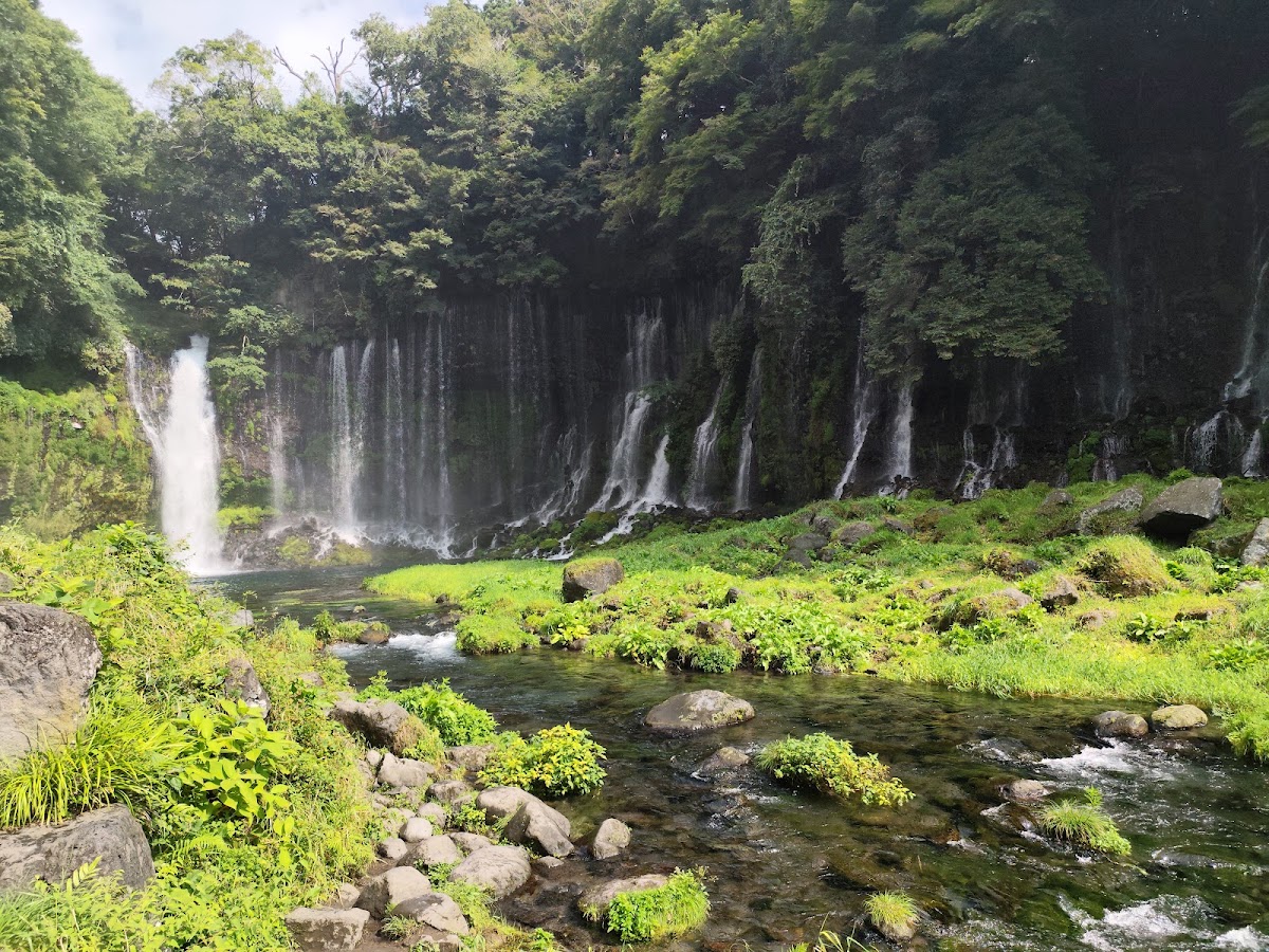Shiraito Falls, Day trip via Fujinomiya + bus/taxi from Shimizu cruise port