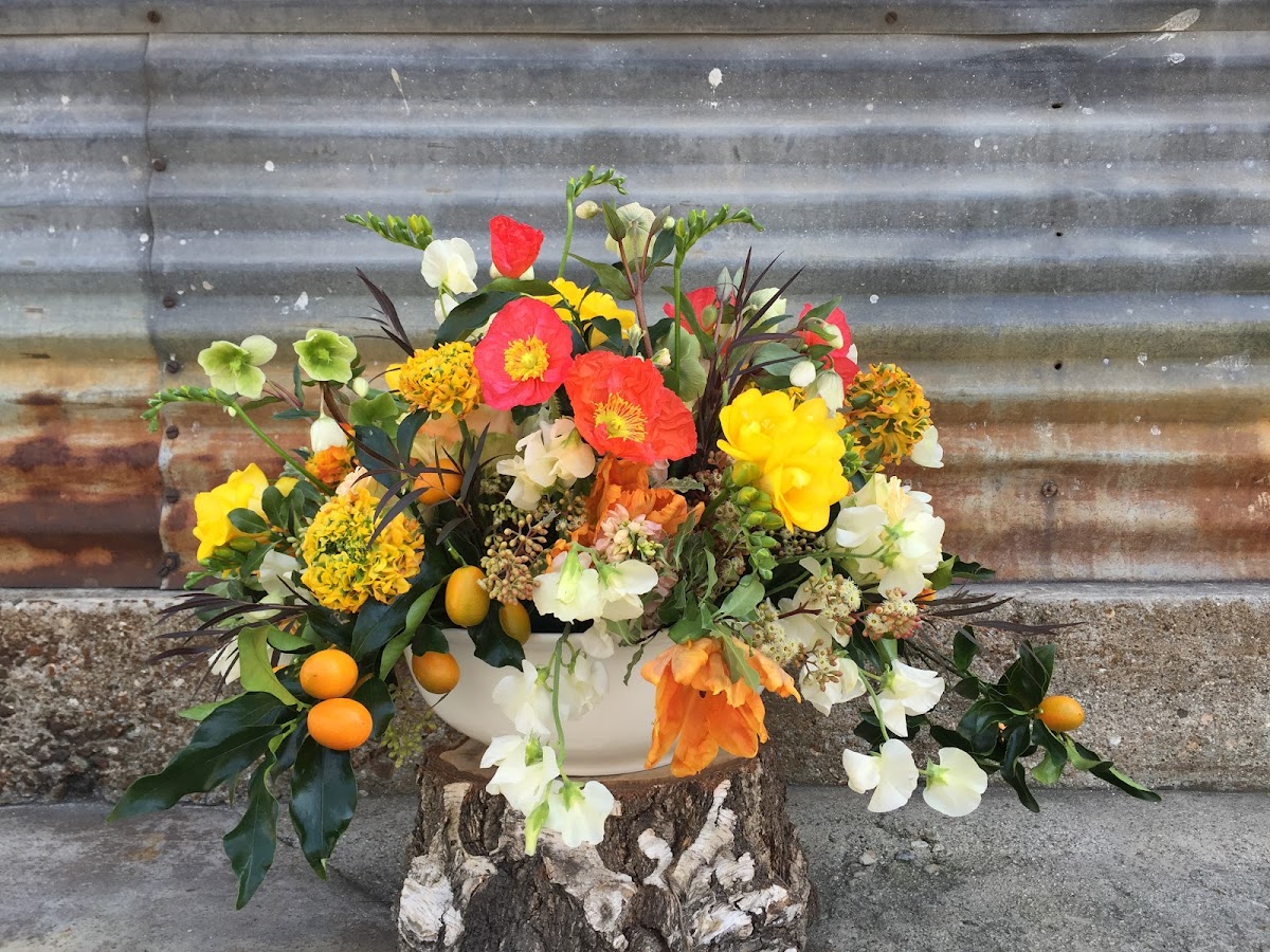 Leonora Moss: Google Places image 2