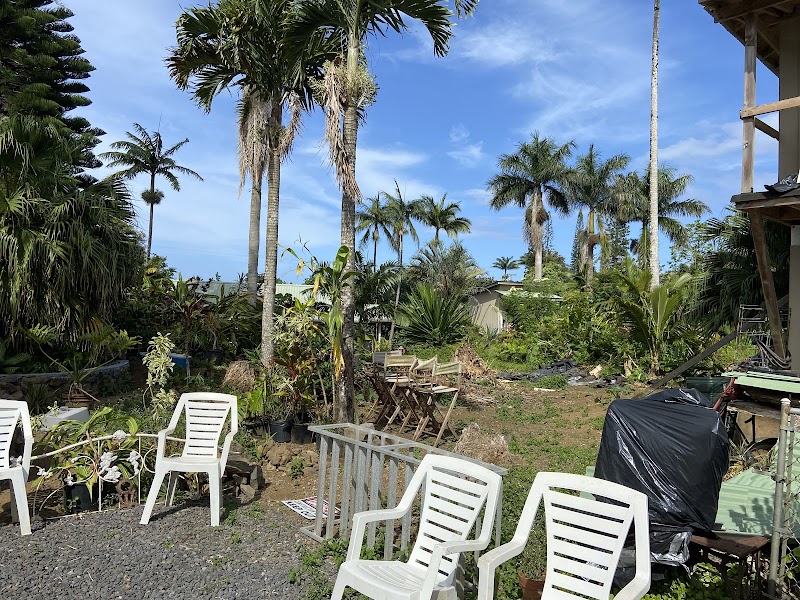 Maui Garden Grove Cafe photo 3