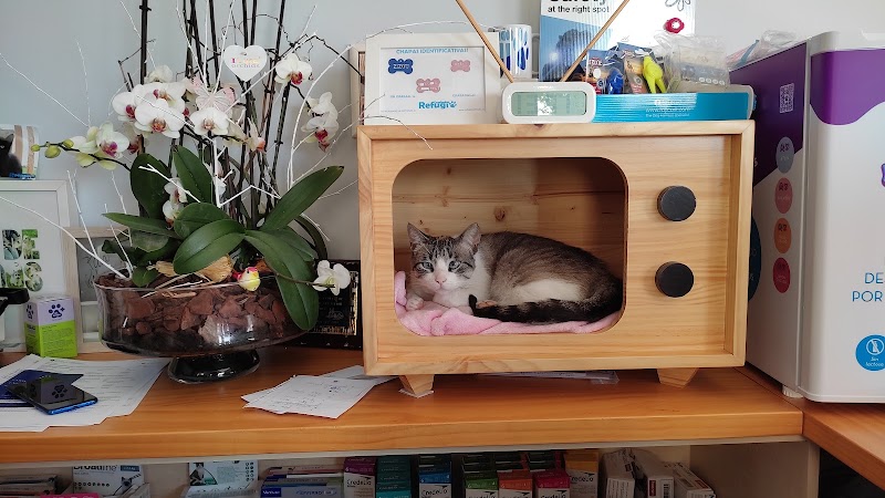 Clinica veterinaria Refugio de Cambados photo 2