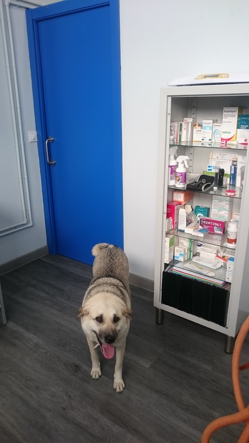 Clinica veterinaria Refugio de Cambados photo 4