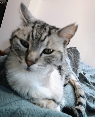 Foto 7