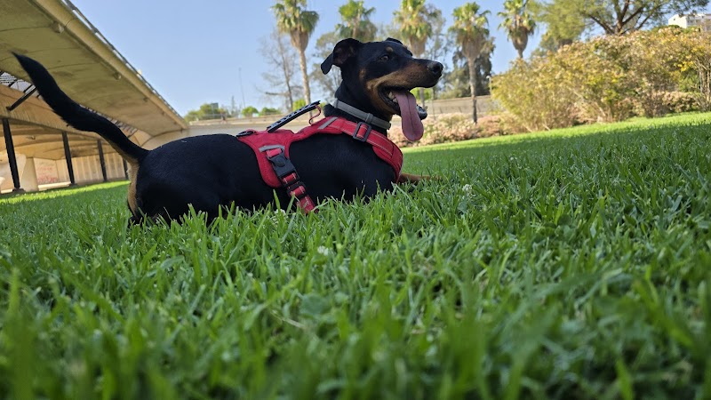 Clínica Veterinaria Santa Pau