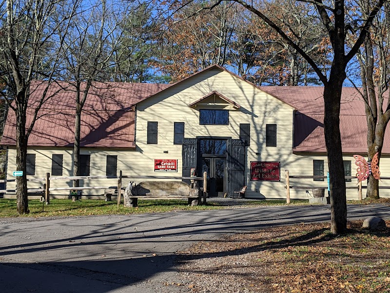 The Old Catskill Game Farm - Inn & Campsites - Photo 6