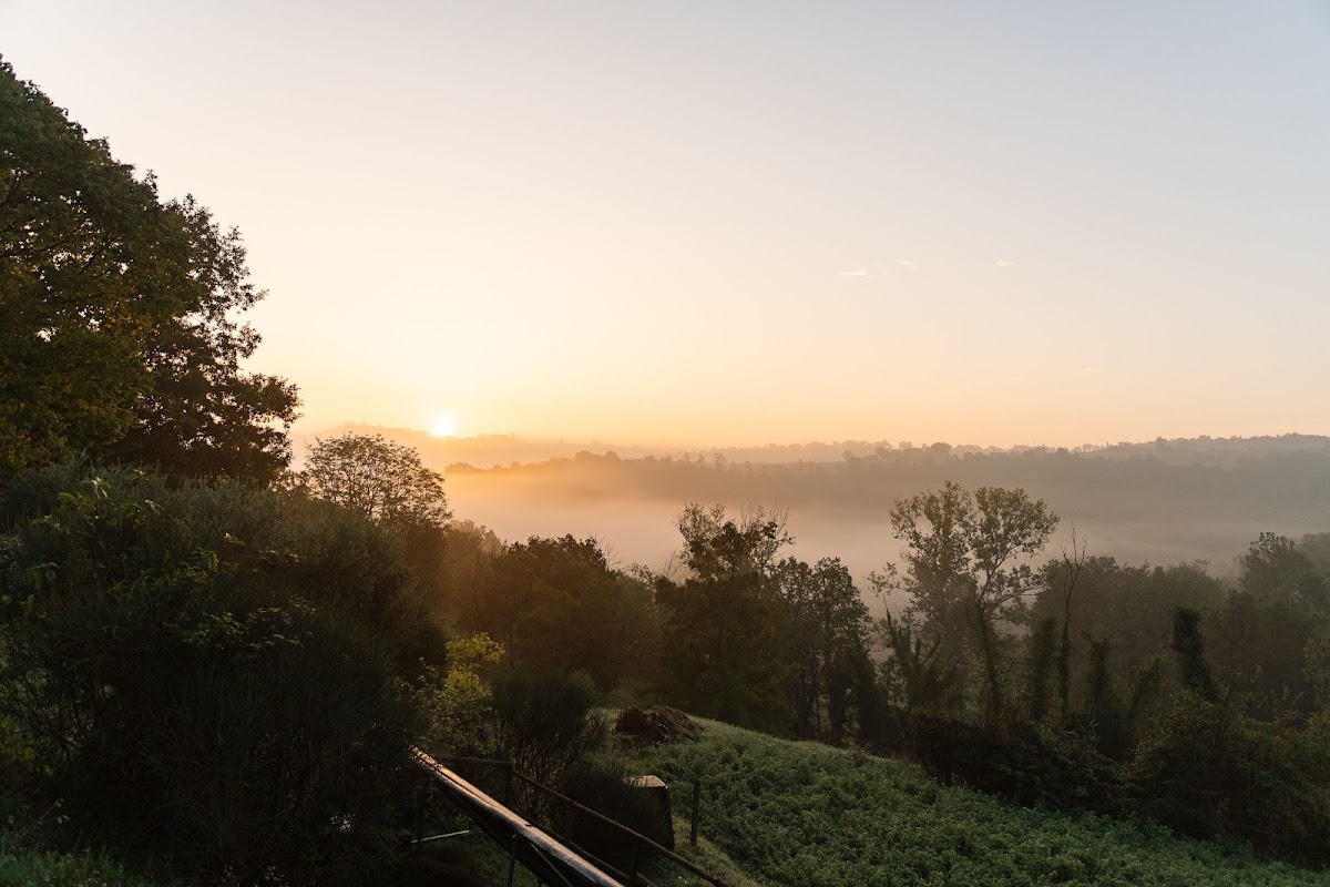 Tara Nature Retreat — 4