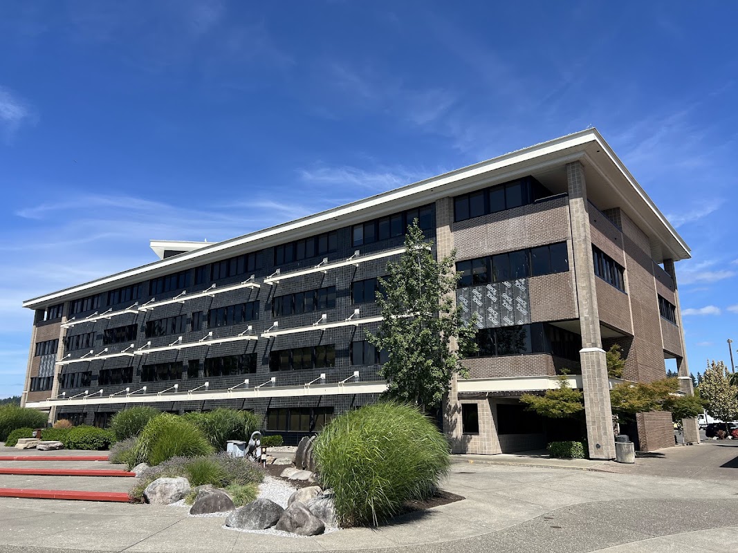 Water Damage Restoration Olympia — photo