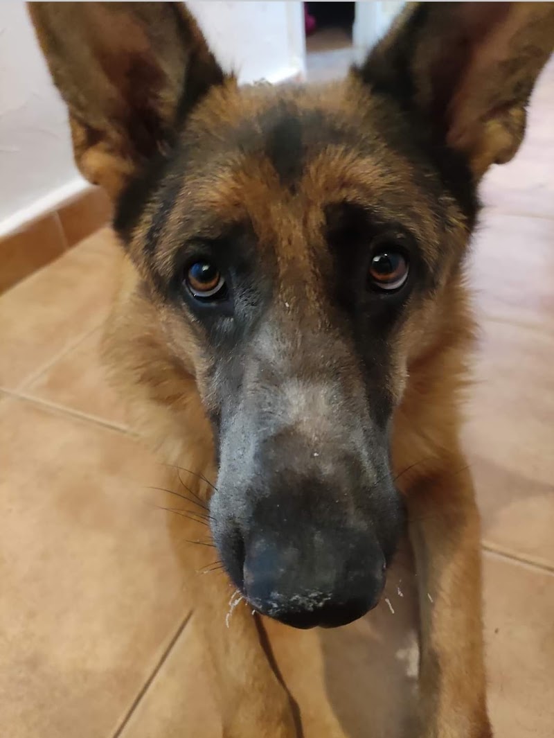 Clínica veterinaria Santo Domingo