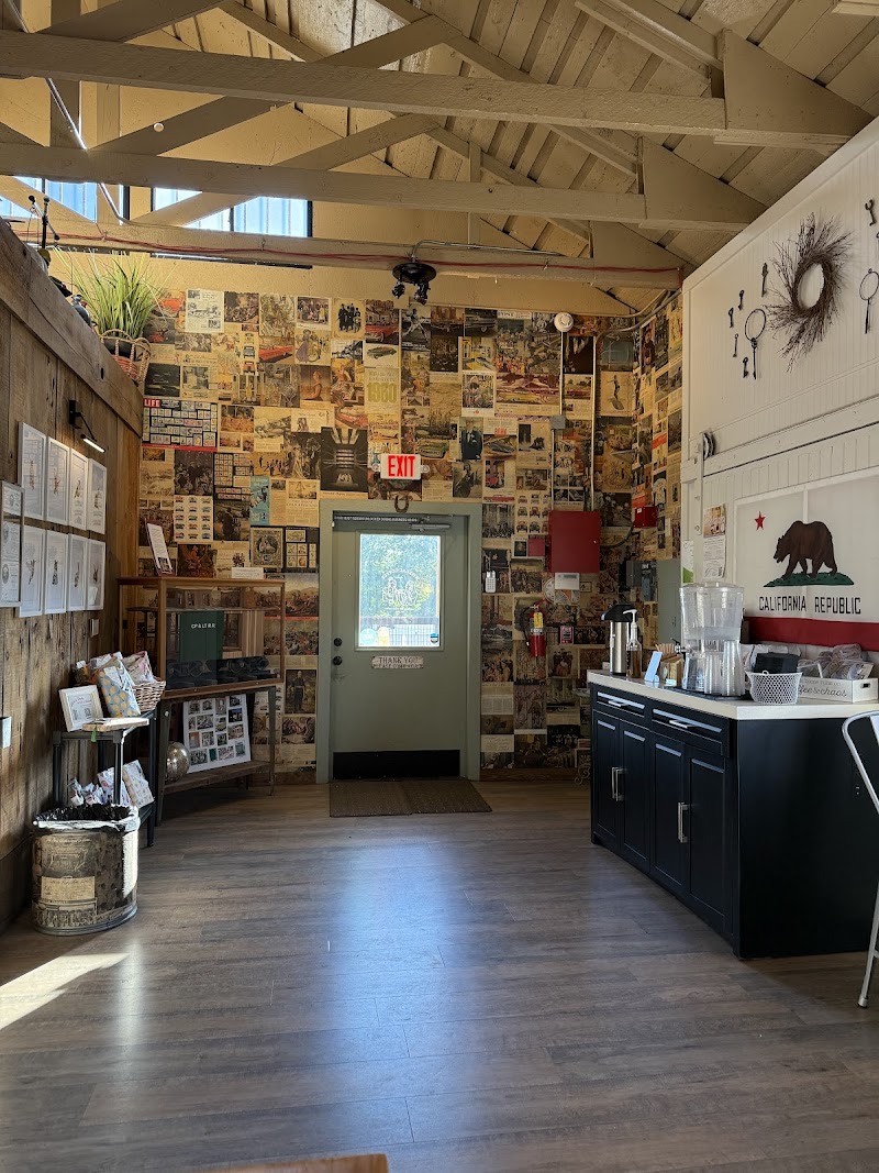 Wisegal Coffee photo 3