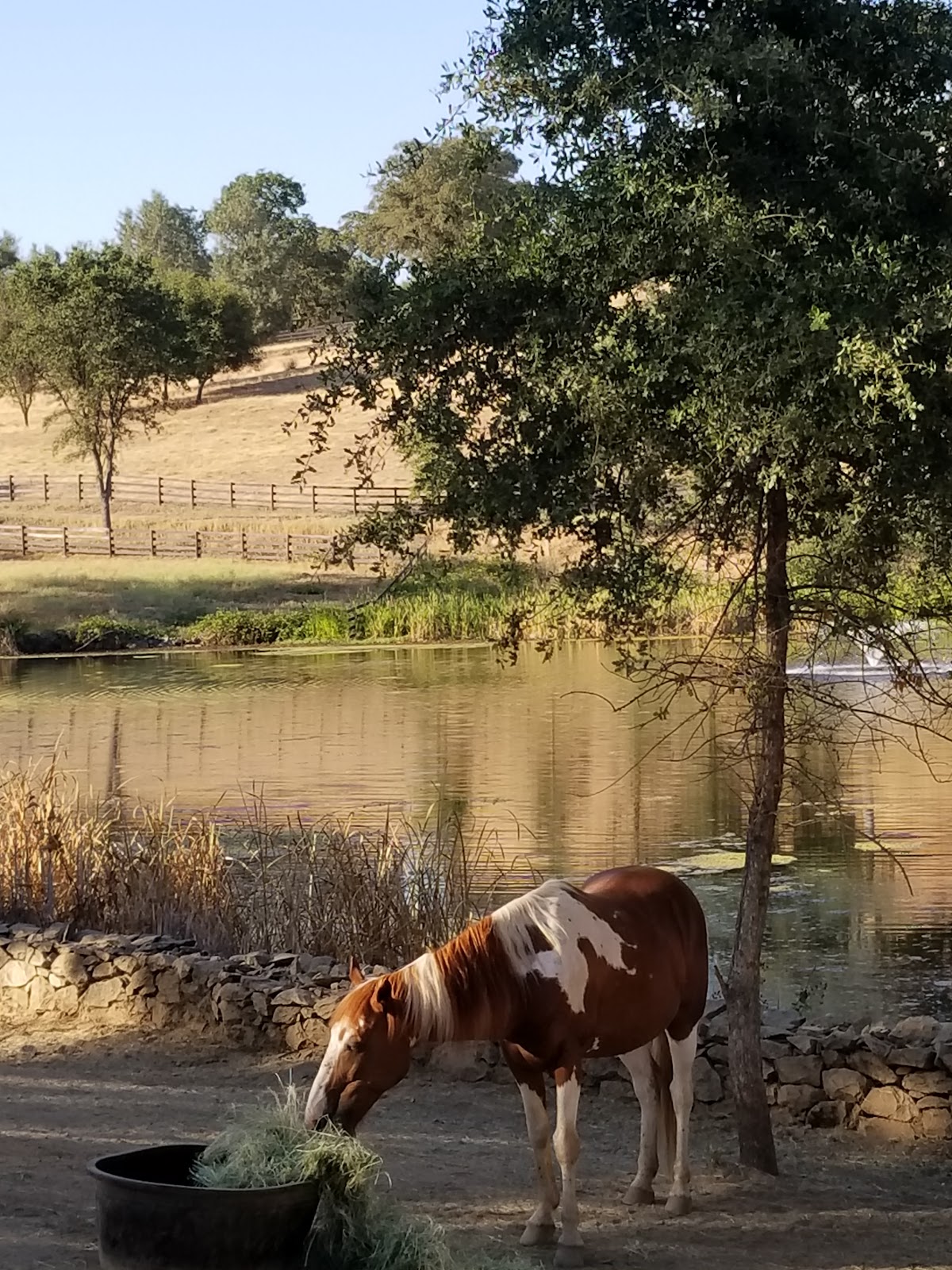 Vaquera Ranch