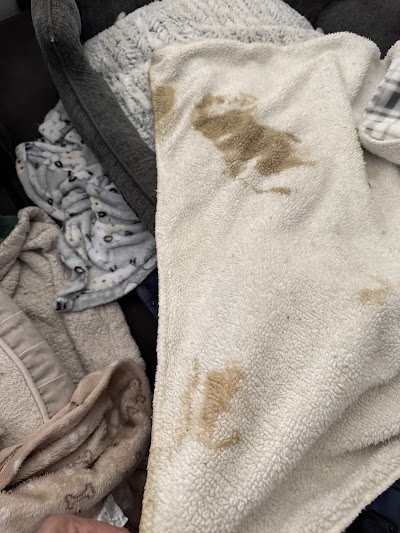 The Inn at Wolftever Pet Boarding, Grooming, & Daycare