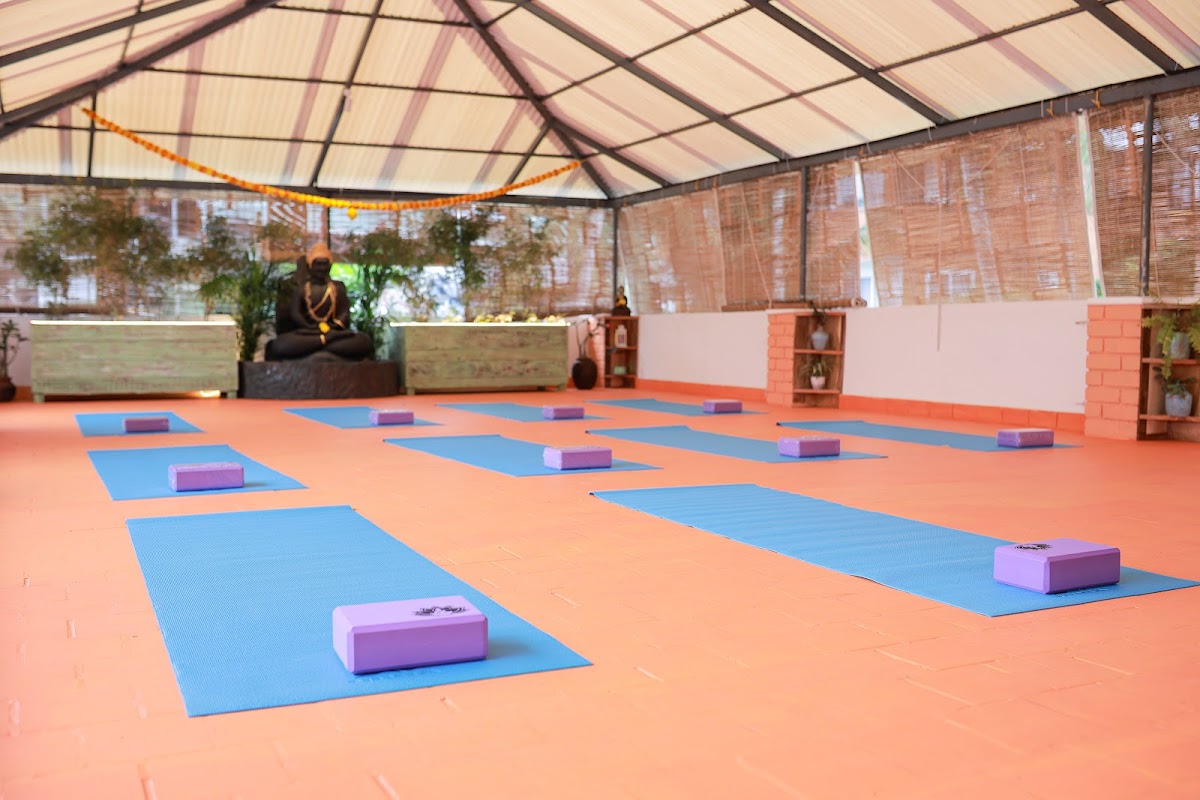 The Samsara Yogashala | Boutique Yoga | Ayurvedic Healing | Wellness Retreat Centre in Kovalam — 4