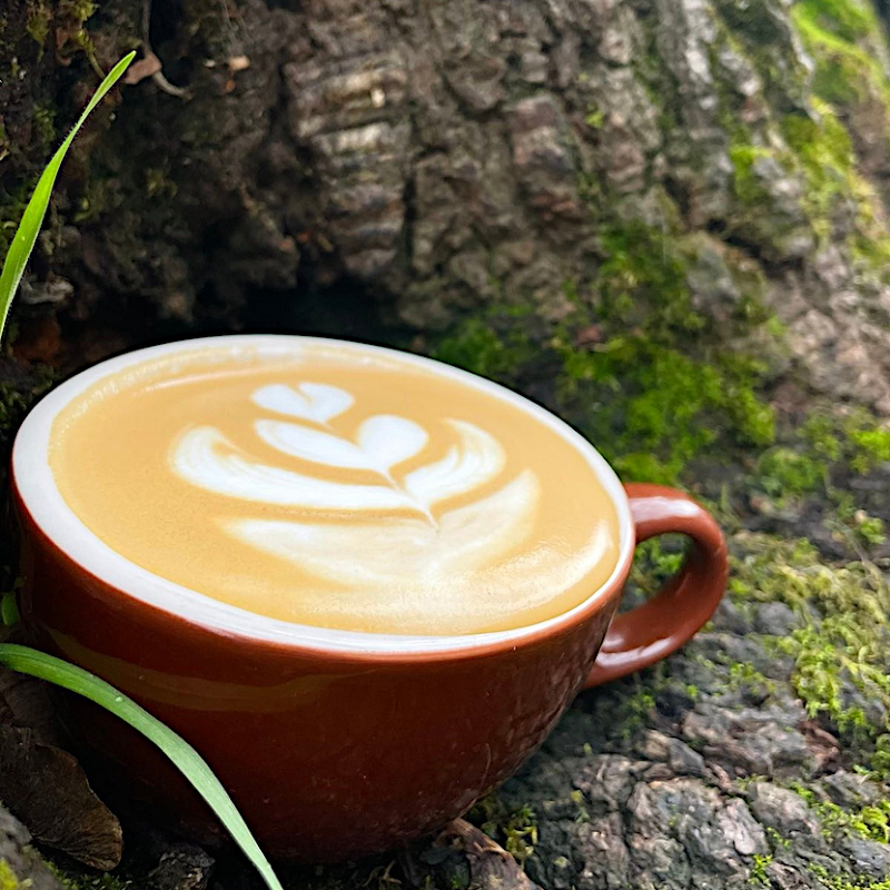 Wandering Goat Coffee Co. photo 4