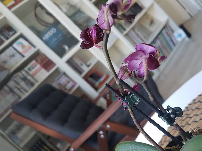 Ropion Florent - Hypnose - Arrêt du tabac - Gestion du stress - Phobies - Sommeil - Deuil - Alimentation - Addiction - Tours