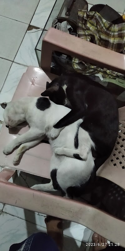 Kontrakan Ibu Yetti