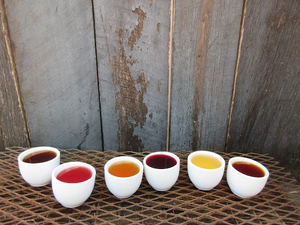 Photo by Louisville Tea Company