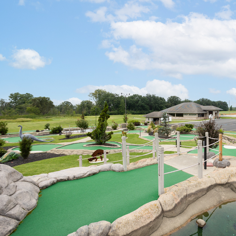 Apex Sports & Entertainment banner