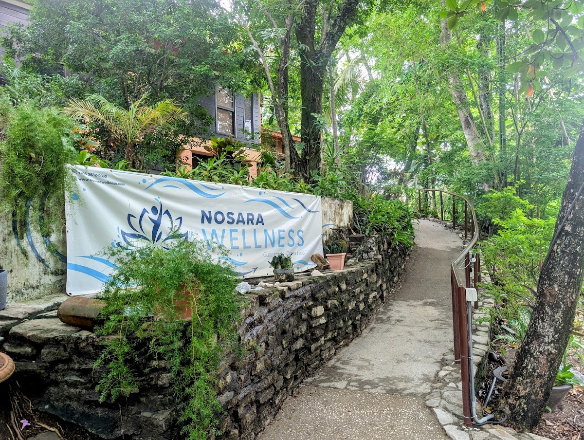 Nosara Wellness — 4