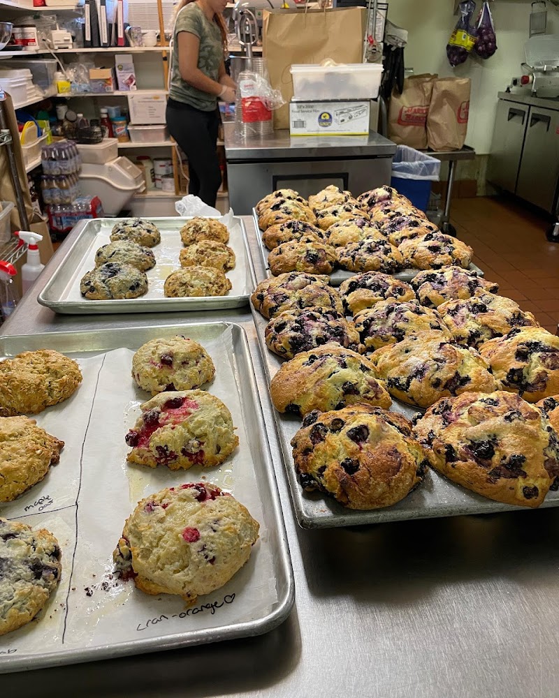 Laughing Gull Café photo 2