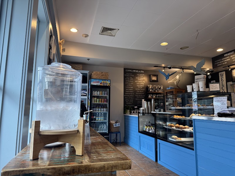 Laughing Gull Café photo 3