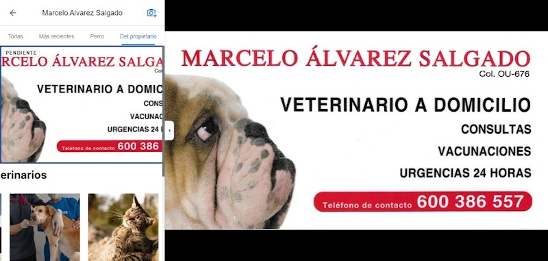 Marcelo Álvarez Salgado Veterinario photo 2