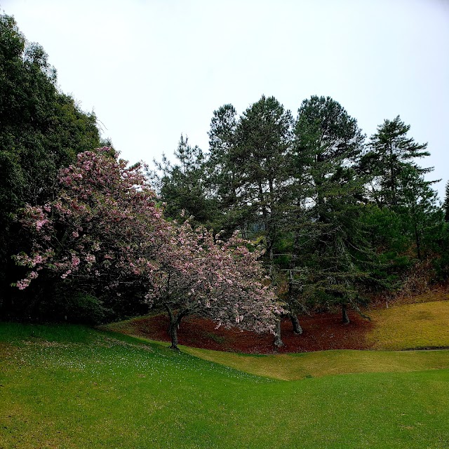 Shikoku Country Club Anabuki Course - Photo 9