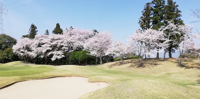Shikoku Country Club Anabuki Course - Photo 10