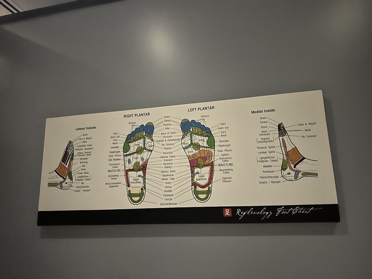 Feet First Reflexology & Massage Centre (Ladies) 3