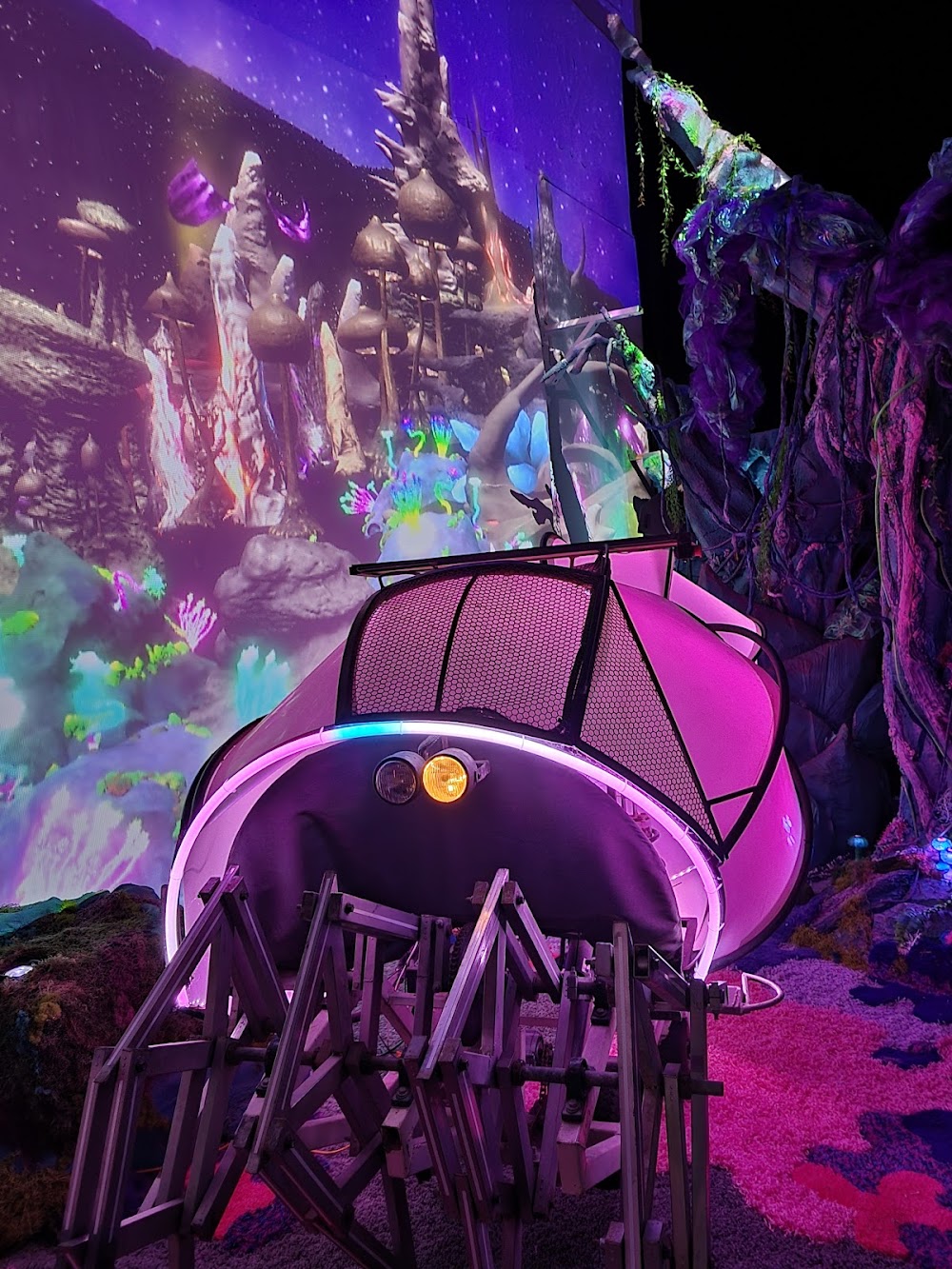 Gray Area / Grand Theater photo