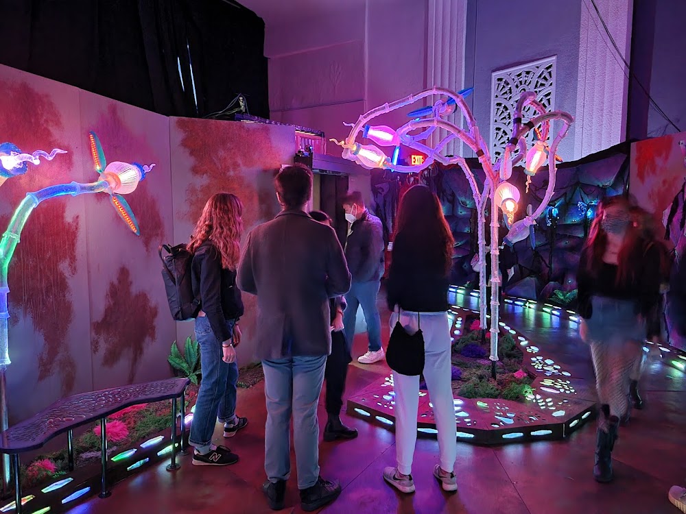 Gray Area / Grand Theater photo