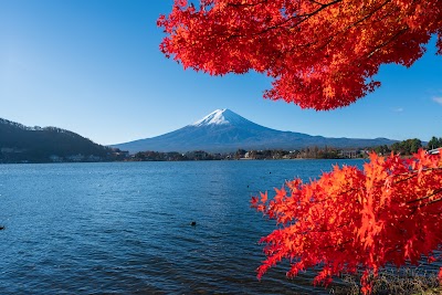 Lake Kawaguchi - 1