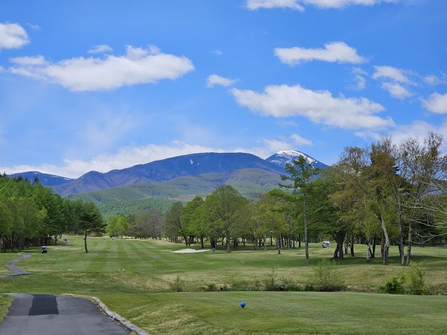 Sunny Country Club - Photo 9