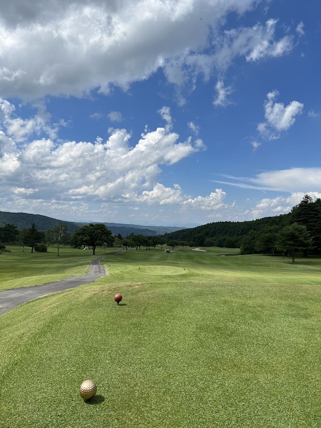 Sunny Country Club - Photo 2
