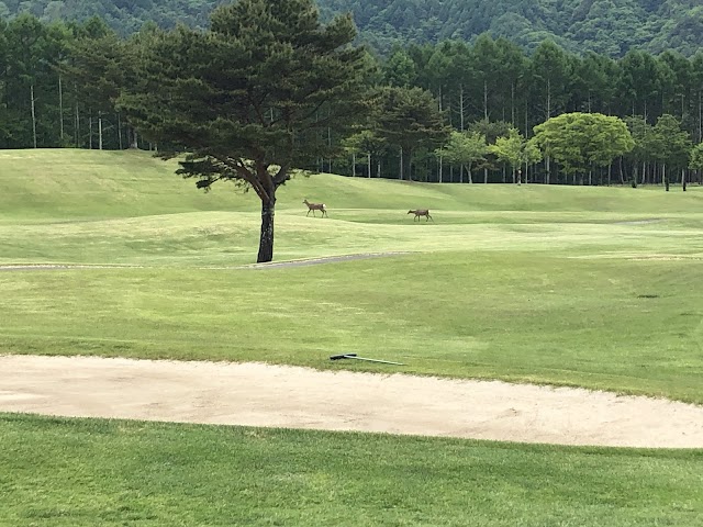Sunny Country Club - Photo 6