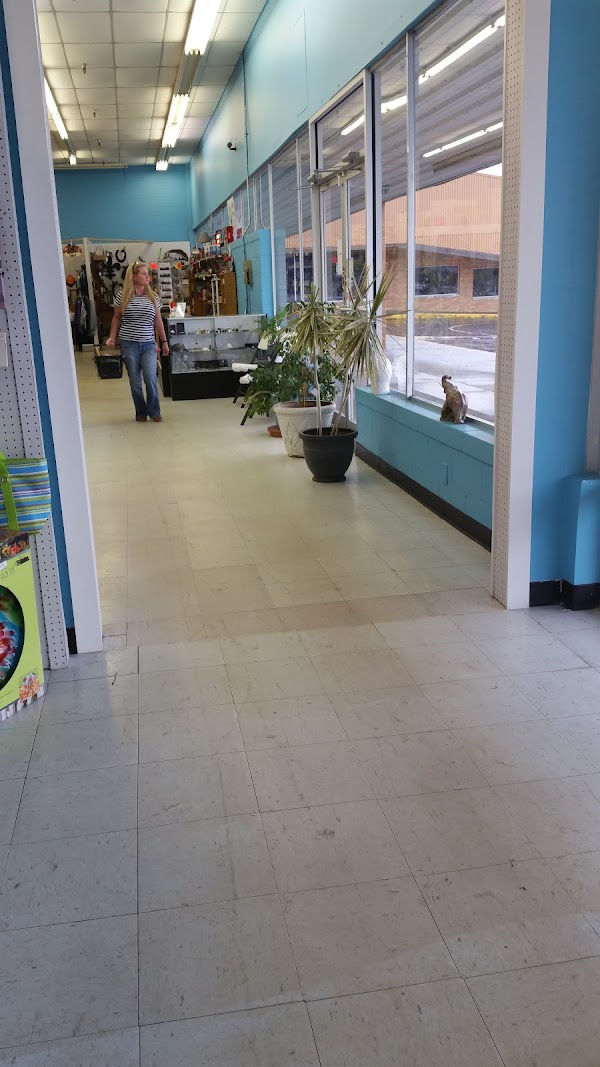 WHITE ELEPHANT CAFE exterior