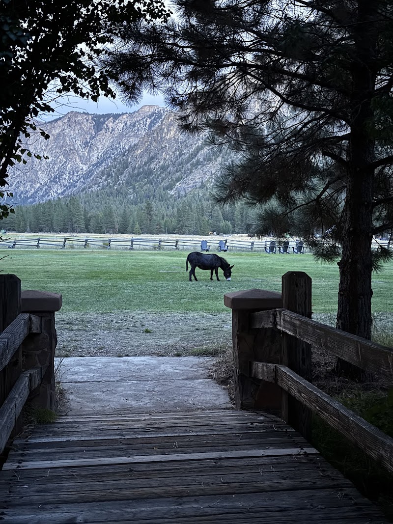 Lazy H Ranch - Photo 6