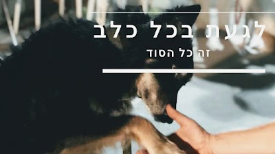 המרכז להתנהגות ואילוף הכלב