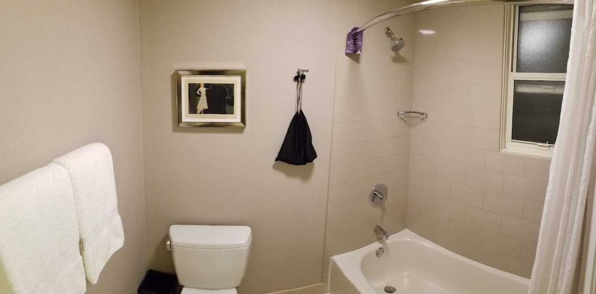 Hotel Adagio, dog-friendly hotel, photo 2