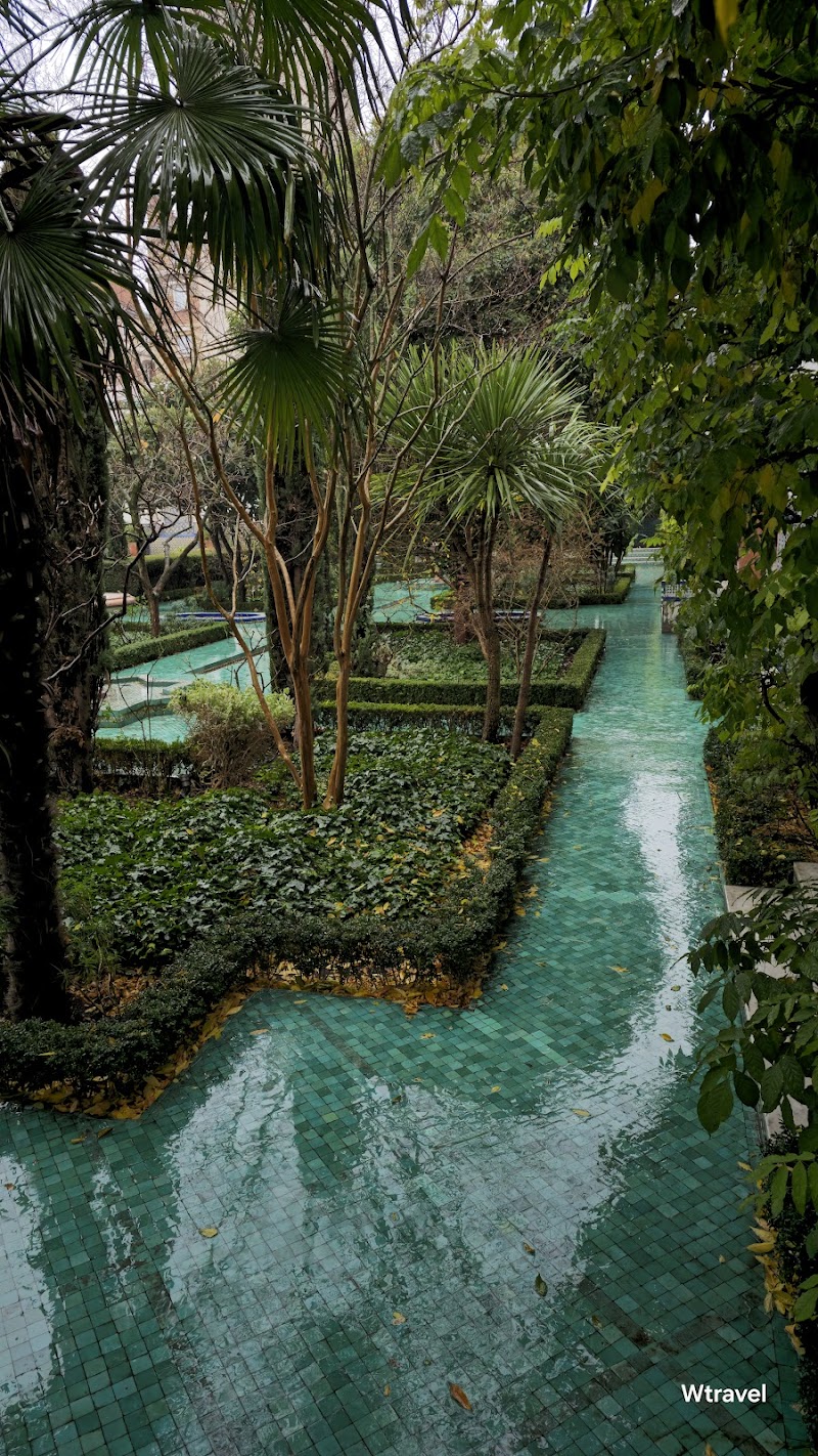Jardin de la Grande Mosquée de Paris photo 4