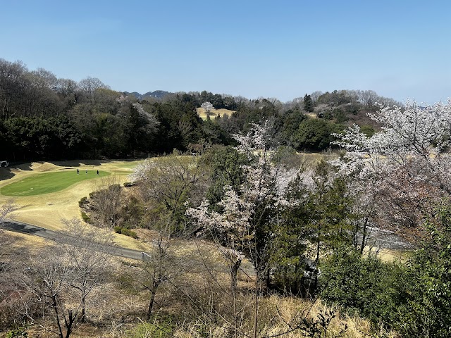 Adonis Ogawa Country Club - Photo 3